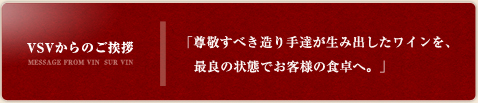 VSVからのご挨拶