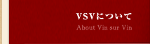 VSVについて